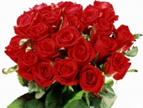 Minister of Science and Higher Education congratulated the President of IQAA Sholpan Murtazovna Kalanova on her birthday