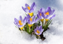 Happy Nauryz!