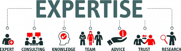 Структура агентства IQAA