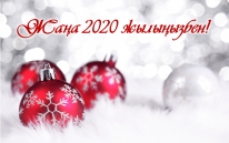 Жаңа 2020 жылыңызбен!